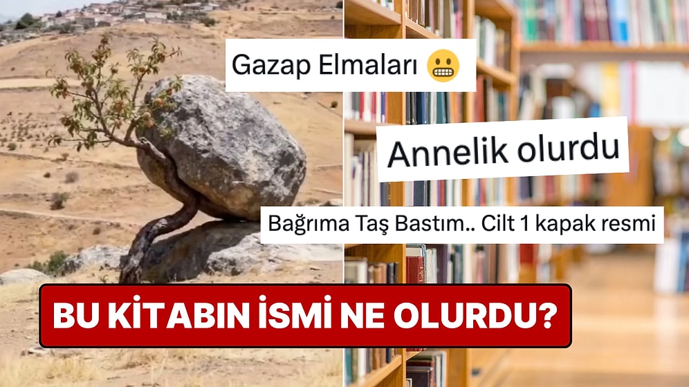 Görenlerin İçindeki Şairi Uyandıran Fotoğraf: "Bu Bir Kitap Kapağı Olsaydı..." Paylaşımına Yaratıcı İsimler