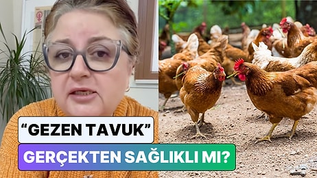Uzman Gıda Mühendisi Tuğba Bayburtluoğlu "Köy Tavuğundaki" Tehlikeyi Anlattı: "Ne Bulursa Yer"