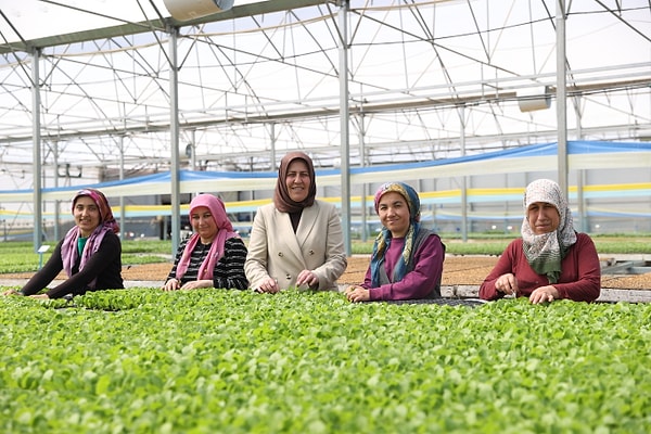 İlk olarak 3 dönümlük alanda başlayan fide üretimi, yıllar içinde büyüyerek 14 dönümlük kapalı alana ulaştı.