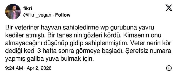 Yanıtlar ise romantik komedi filmi tadındaydı.