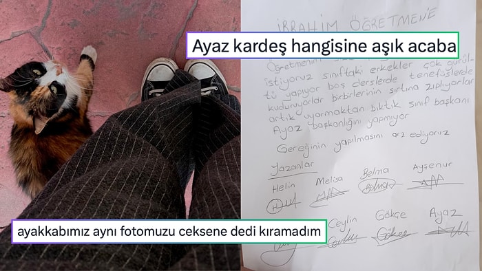 Sarman Kedilere Olan Güvensizlikten Bulaşıktan Sıkıldığı İçin Tabldot Alana Son 24 Saatin Viral Tweetleri