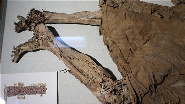 Henüz 17 yaşındaki genç ile 15 yaşındaki kızın dere kenarında başlayan bu yasak aşkı kısa sürede ortaya çıkar.