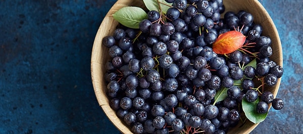 İbrahim Saraçoğlu da aronyanın önemine dikkat çeken isimler arasında yer alıyor.