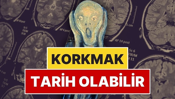 Bilim İnsanları Korkuyu Azaltmanın Yolunu Buldu
