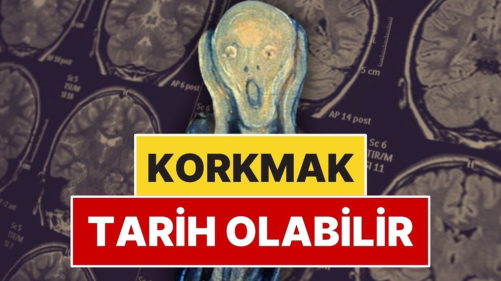 Bilim İnsanları Korkuyu Azaltmanın Yolunu Buldu