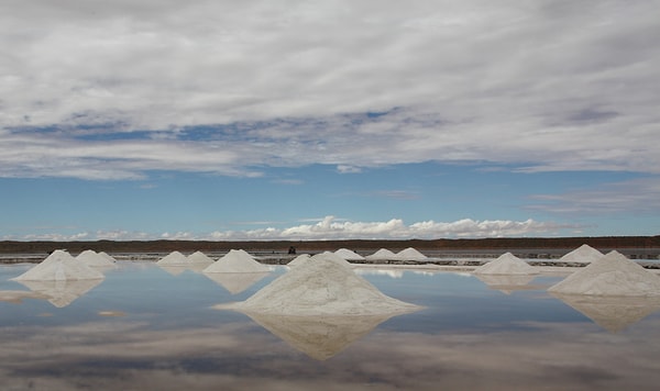 Sürdürülebilir üretim teknikleri markanın profesyonel gastronomi dünyasındaki yerini sağlamlaştırdı