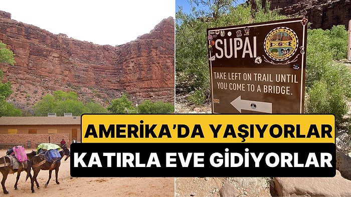 Supai, Arizona: ABD'de Sadece Katır Kervanıyla Posta Alan Son Kasaba