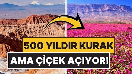 Yeryüzünün Mars'ı Olarak Bilinen Çölde 500 Yıldır Yağmur Yağmıyor