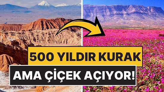 Yeryüzünün Mars'ı Olarak Bilinen Çölde 500 Yıldır Yağmur Yağmıyor