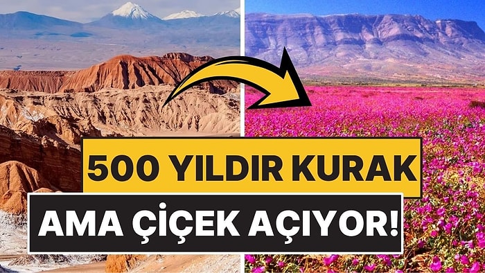 Yeryüzünün Mars'ı Olarak Bilinen Çölde 500 Yıldır Yağmur Yağmıyor