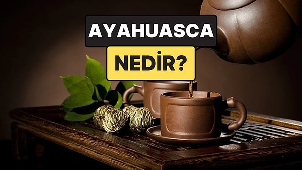 Ayahuasca Nedir, Etkileri Nelerdir? Ayahuasca Çayı Neden Birçok Ülkede Yasak?
