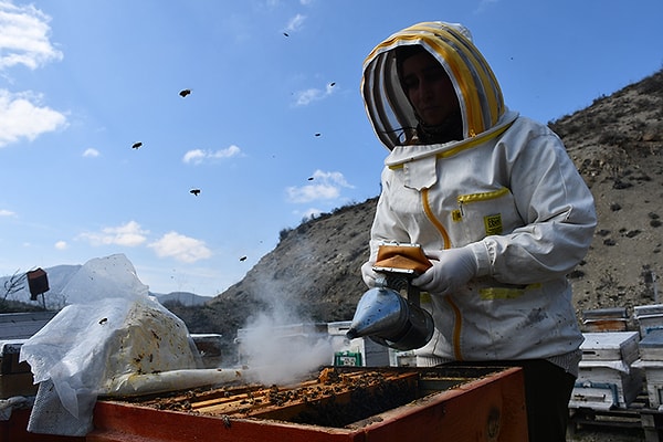 Eğitim Süreçlerini Tamamlayan Girişimci Kovan Sayısını Elli Adede Çıkardı