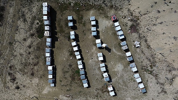 Yıllık Yarım Tonluk Üretim Sosyal Medya Aracılığıyla Tüketiciye Ulaşıyor