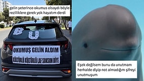 Her Ne Yapıyorsanız Bırakıp Okumanız Gereken Haftanın En Komik Tweetleri