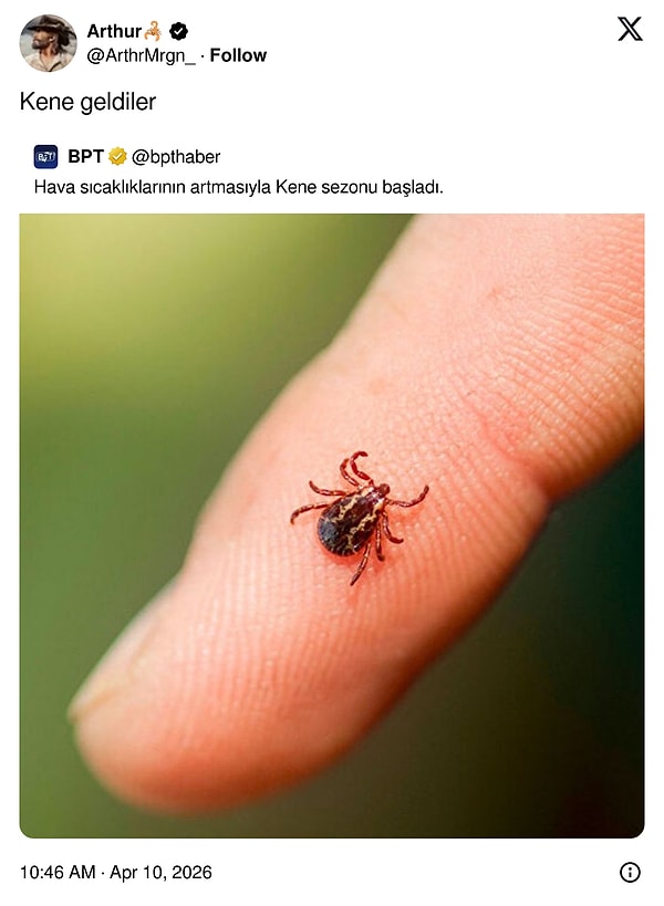 Kelime şakası olmadan olmaz.