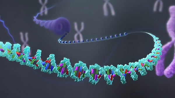He Jiankui'nin Yasak Deneyi: İnsan Embriyosunda Gen Düzenleme