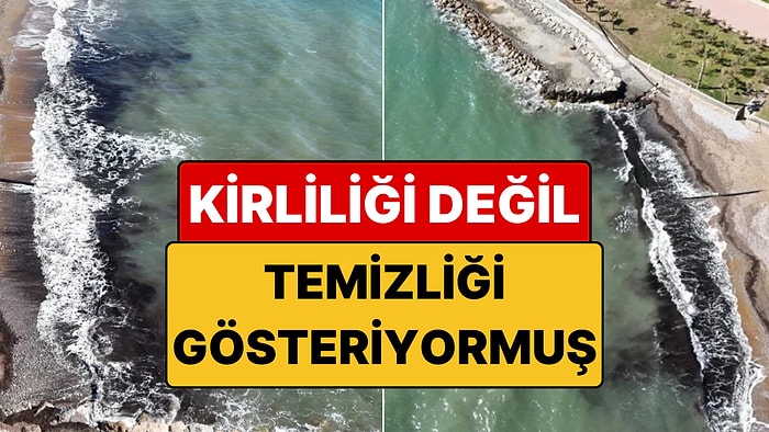 Antalya Alanya Sahilindeki Panik Yaratan Siyah Tabakanın Nedeni Anlaşıldı