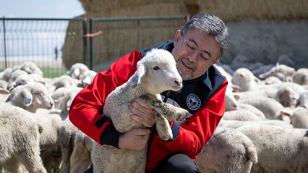 Yumaklı, Tarım İşletmeleri Genel Müdürlüğünün (TİGEM) Polatlı Tarım İşletmesi Müdürlüğü'nü ziyaret etti.