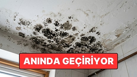 Küf ve Rutubete Karşı Etkili Yöntem ve Kalıcı Çözüm Yolu Açıklandı