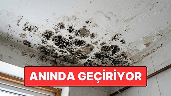 Küf ve Rutubete Karşı Etkili Yöntem ve Kalıcı Çözüm Yolu Açıklandı