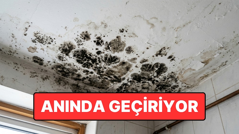 Küf ve Rutubete Karşı Etkili Yöntem ve Kalıcı Çözüm Yolu Açıklandı