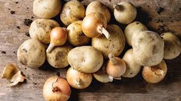 Ethylene Gas: A Plant-Based "Accelerator"