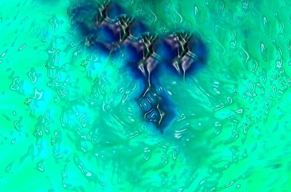 The Mysteries of Cone Cells and Color Perception