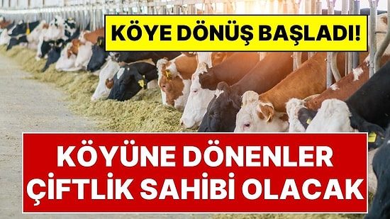 Köyüne Dönene Çiftlik Kurulacak: Bekar Olana İki, Evli Olana Üç Asgari Ücret Maaş Verilecek!