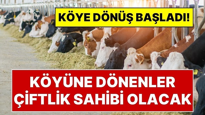 Köyüne Dönene Çiftlik Kurulacak: Bekar Olana İki, Evli Olana Üç Asgari Ücret Maaş Verilecek!