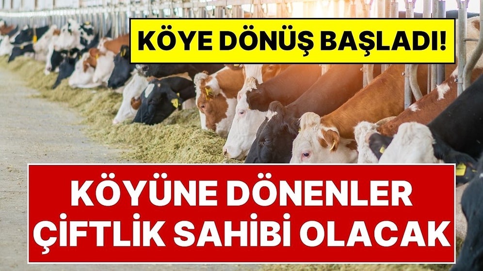 Köyüne Dönene Çiftlik Kurulacak: Bekar Olana İki, Evli Olana Üç Asgari Ücret Maaş Verilecek!