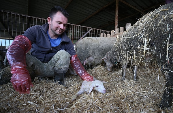 Kocaeli Üniversitesi Kimya Bölümü mezunu olan Emre Sömer ise işin teknik ve genetik kalitesine odaklandıklarını vurguladı.