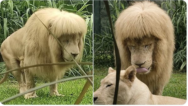 Görüntü şu şekildeydi...