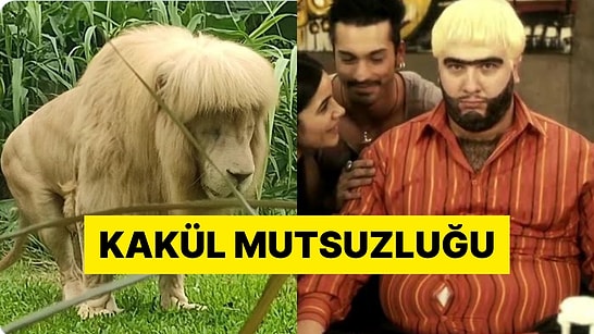 Çin'de Bir Hayvanat Bahçesinde Tıraş Edilen Aslanın Hali Dillere Düştü