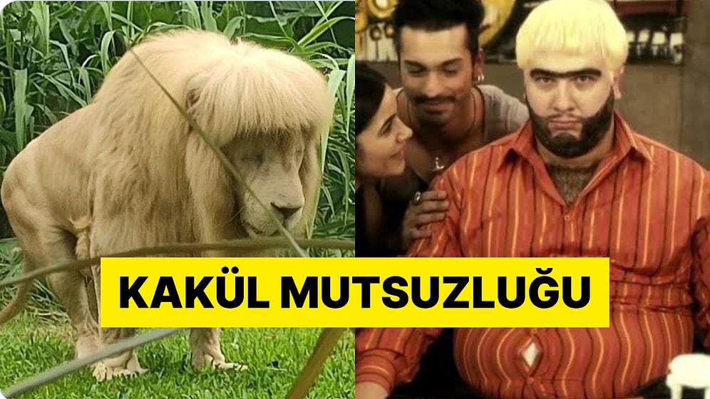 Çin'de Bir Hayvanat Bahçesinde Tıraş Edilen Aslanın Hali Dillere Düştü