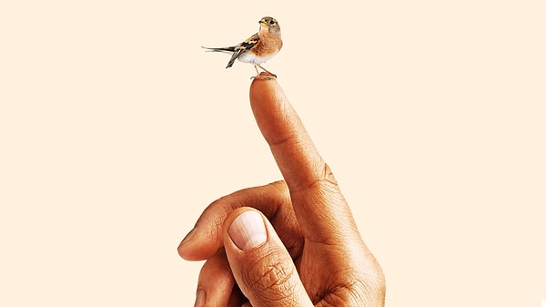 Sürekli şikayet etmiyorlar