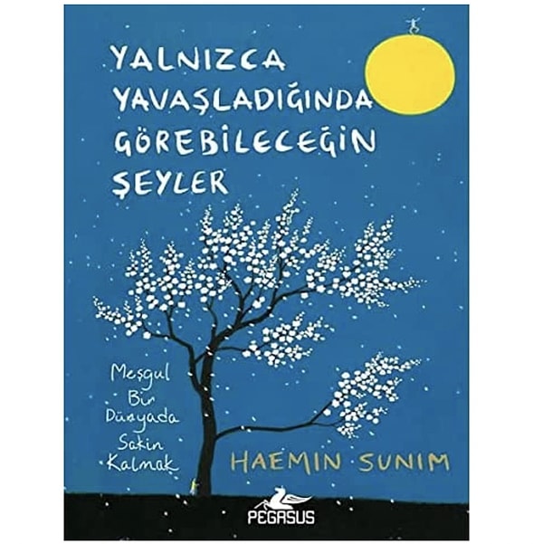 Yalnızca Yavaşladığında Görebileceğin Şeyler - Haemin Sunim