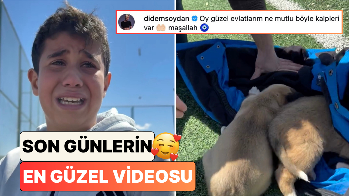 Şiddete Uğrayan Köpekleri Monta Sarıp Gözyaşlarıyla Öğretmenlerine Götüren Minikler Umutlarınızı Yeşertecek