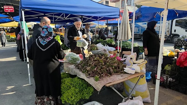 Hamidiye Mahallesi’nde kurulan salı pazarında satış yapan esnaf, kaldirik otuna olan talebin her geçen yıl arttığını belirtiyor.