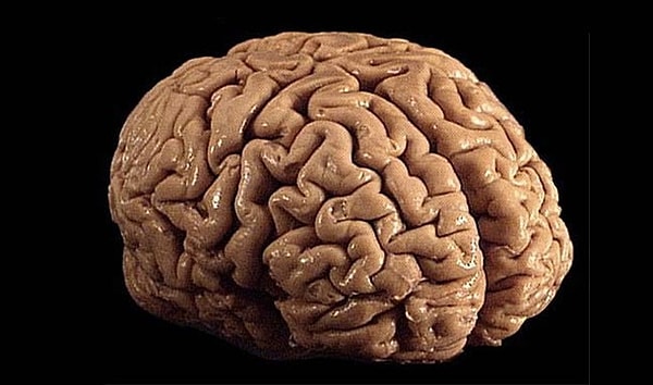 Throughout the day, it's quite common to occasionally struggle with maintaining focus, feel as if your thoughts are slowing down, or have difficulty making even the simplest decisions.