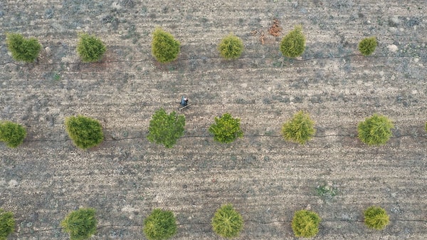 Bölge halkı ve gurbetteki vatandaşların desteğiyle oluşturulan alanın mesire yerine dönüştürülmesi hedefleniyor