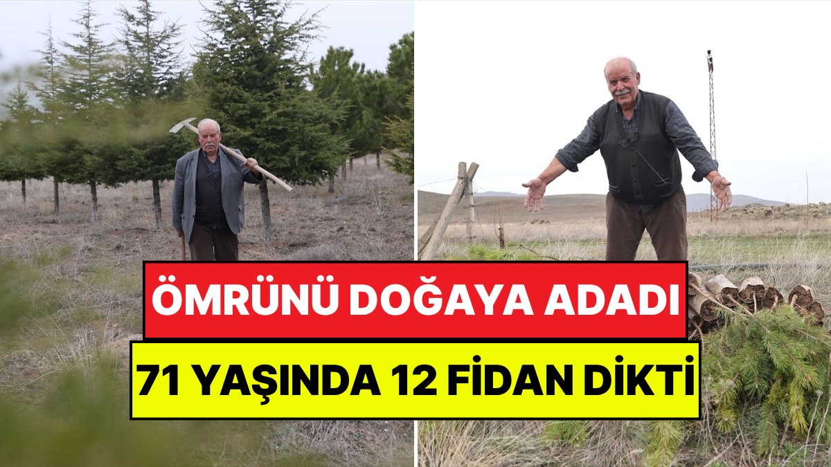 71 Yaşındaki Erdoğan Amcanın Yeşil Mirası: 12 Yılda 12 Bin Fidan Dikti