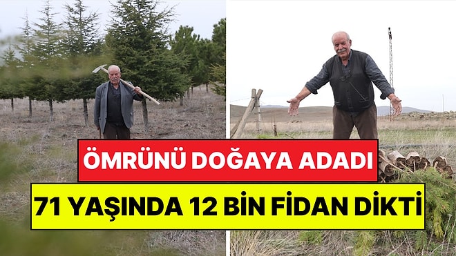 71 Yaşındaki Erdoğan Amcanın Yeşil Mirası: 12 Yılda 12 Bin Fidan Dikti