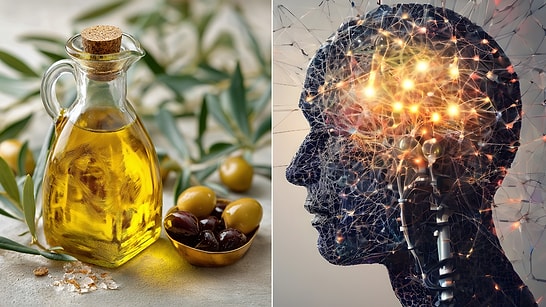 Researchers Discover Which Oil Boosts Brain Health!