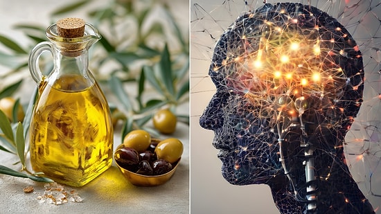 Researchers Discover Which Oil Boosts Brain Health!