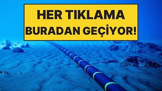 Her Gün Kullanıyoruz Ama Altında Devasa Bir Deniz Ağı Var!