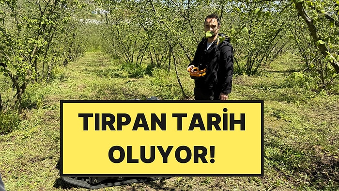 3 Kişilik İşi Tek Başına 3 Saatte Bitiriyor