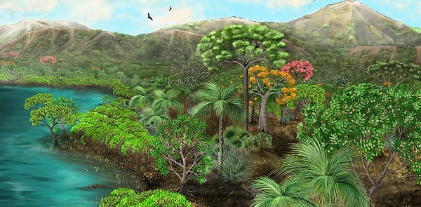 Her şey 39 milyon yıl önce patlayan volkanla başladı