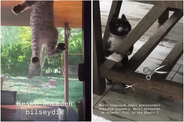 Taşacak Bu Deniz senaristleri ise aşağıda görmüş olduğunuz paylaşımları yaptı.