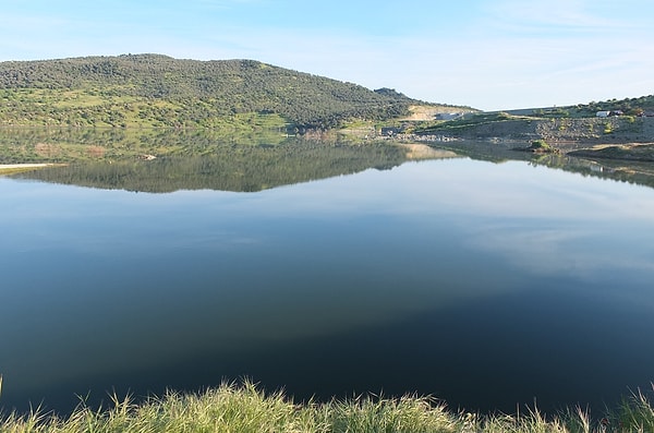 Barajın devreye girmesiyle birlikte bölgenin can damarı olan zeytinliklerde verimliliğin katlanması bekleniyor.