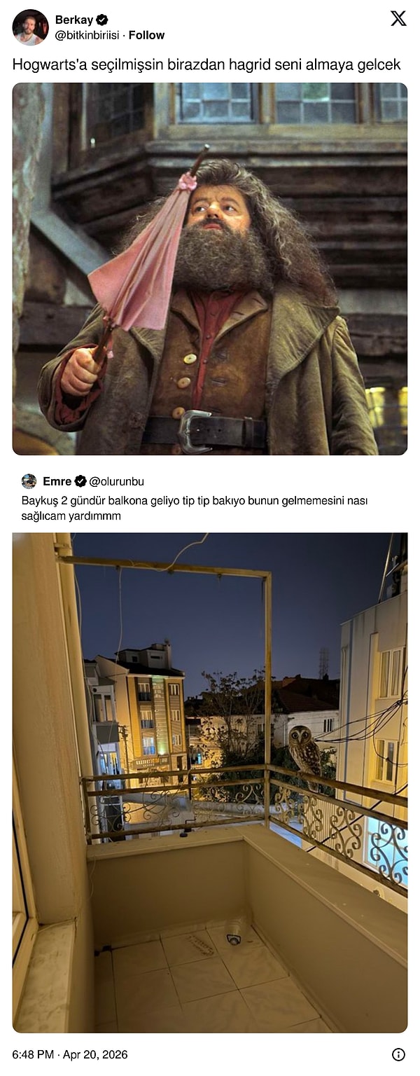 11. Her baykuş gördüğümüzde biz de biraz umutlanıyoruz.